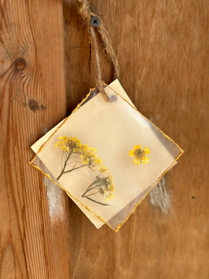 Moskana herbarium gift card