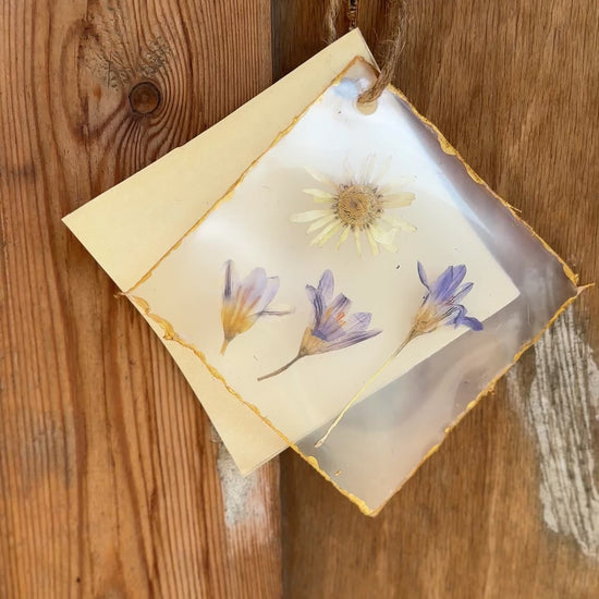 Moskana herbarium gift card